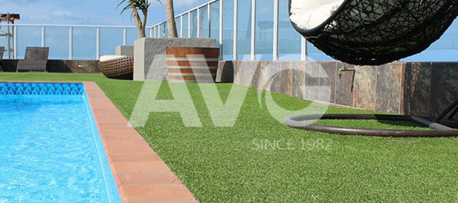 C? trang trí b? b?i(Nam Phi)