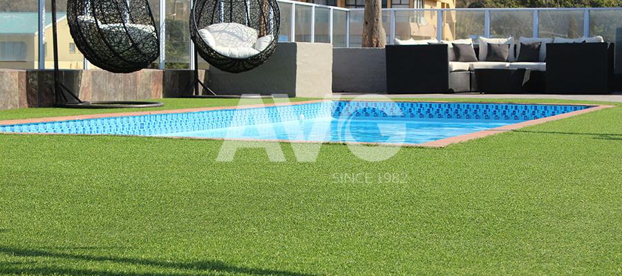 C? trang trí b? b?i(Nam Phi)