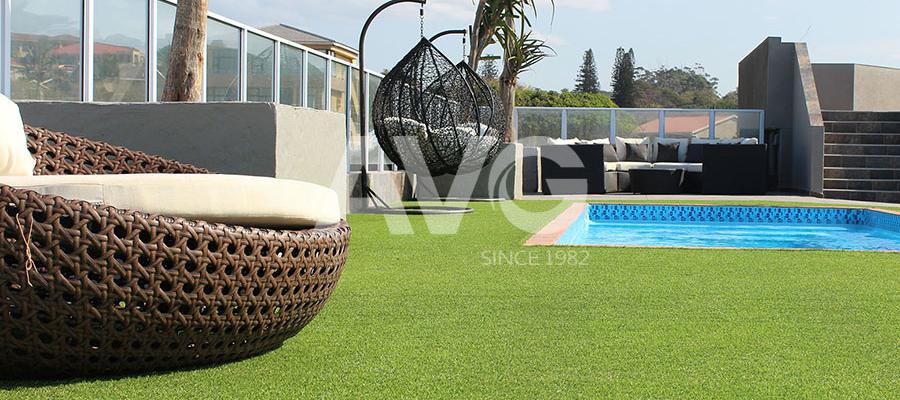 C? trang trí b? b?i(Nam Phi)