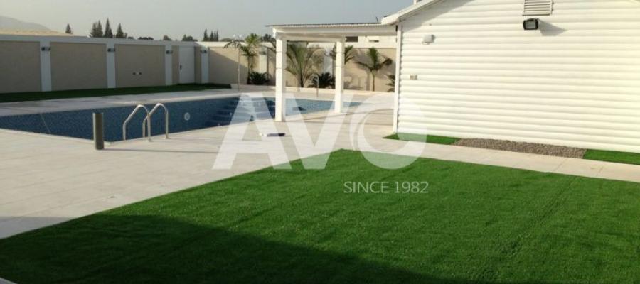 C? trang trí san v??n