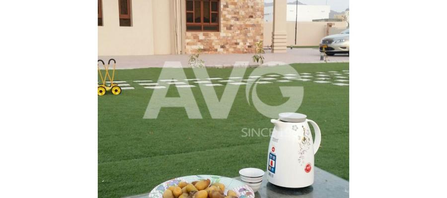 C? trang trí san v??n