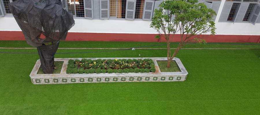 D? án c? san v??n AVG, c? nhan t?o AVG