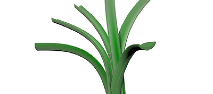 Dòng c? Classic 120