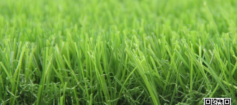 Dòng c? Eden Classic 93