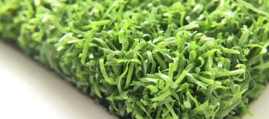 Dòng c? Curly PPE 55B