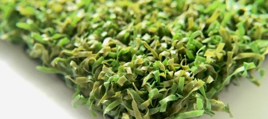 Dòng c? golf PE (96/72)