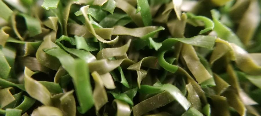 Dòng c? golf PE (96/72)