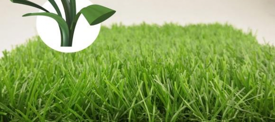 Dòng c? Eden Oasis 90