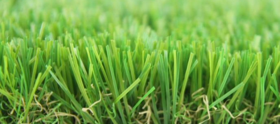 Dòng c? Stem Eco 115