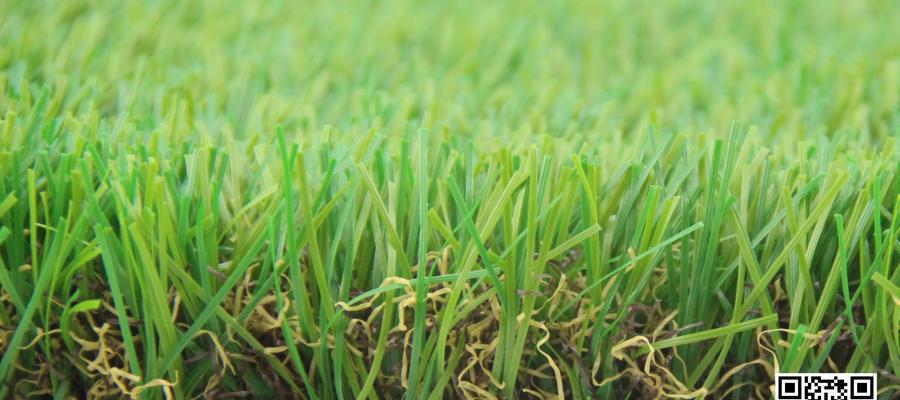 Dòng c? Eden Stem 116