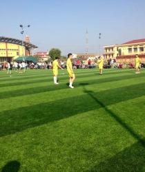 D? án san bóng ?á c? nhan t?o tiêu bi?u c?a AVG t?i Vi?t Nam