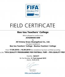 Bao tou Teachers' College, AVG, c? nhan t?o AVG