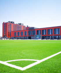 c? nhan t?o AVG, ?? d?t th?m kh?ng tráng keo, AVG DM400