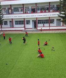 D? án c? san v??n AVG, c? nhan t?o AVG