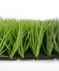 Dòng c? classic 120