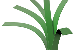 Dòng c? Oasis 88/80B