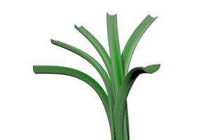 Dòng c? Classic 120