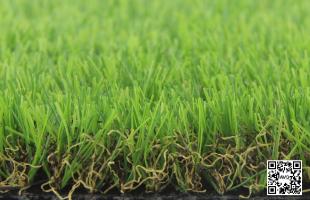 Dòng c? Eden Classic 93