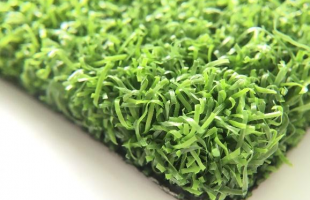 Dòng c? Curly PPE 55B