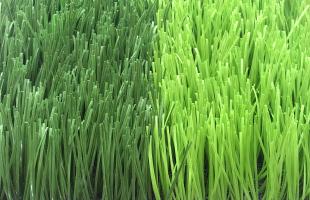 Dòng c? Diamond 100/100B