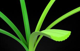 Dòng c? FIFA AVG-CS130