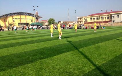 D? án san bóng ?á c? nhan t?o tiêu bi?u c?a AVG t?i Vi?t Nam