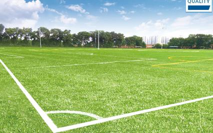 D? án san bóng FIFA 