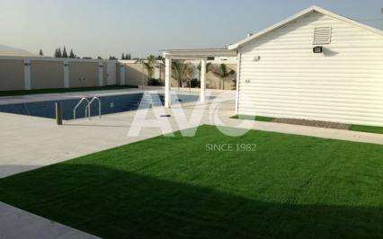 C? trang trí san v??n