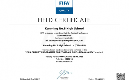 c? nhan t?o AVG, AVG Since 1982