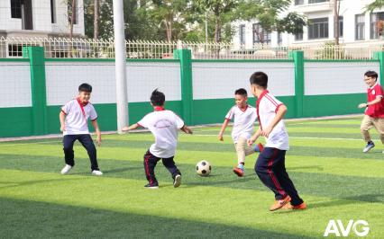   Gi?i pháp phát tri?n giáo d?c th? ch?t h?c ???ng sau d?ch b?nh