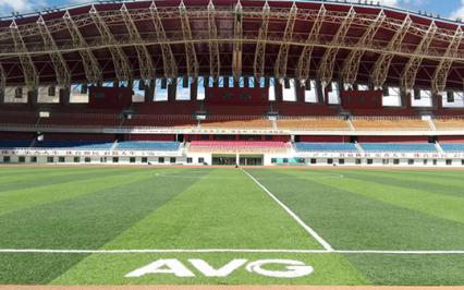 AVG, FIFA, AVG Grass, c? nhan t?o AVG