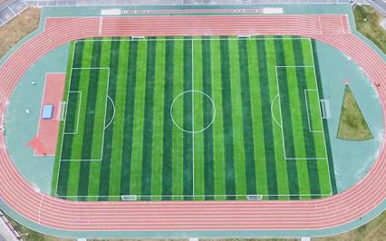 C? nhan t?o ???c ?ng d?ng trong nh?ng l?nh v?c nào?