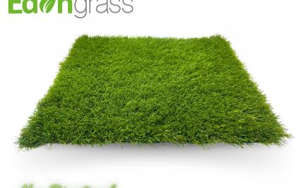 c? nhan t?o AVG, AVG Since 1982