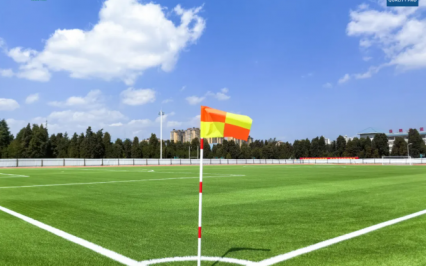 c? nhan t?o AVG, AVG Since 1982